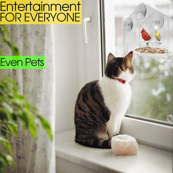 CLEAR GLASS VIEWING BIRD FEEDER