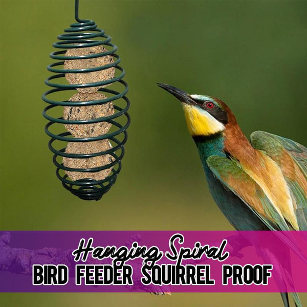 HANGING SPIRAL BIRD FEEDER
