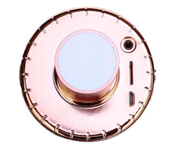 HomeSing™ Bluetooth Wireless Handheld Microphone Speaker KTV Karaoke Mic Music Player Singing Recorder