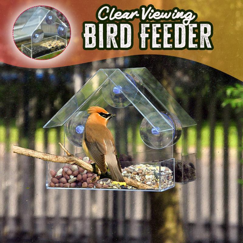 CLEAR GLASS VIEWING BIRD FEEDER