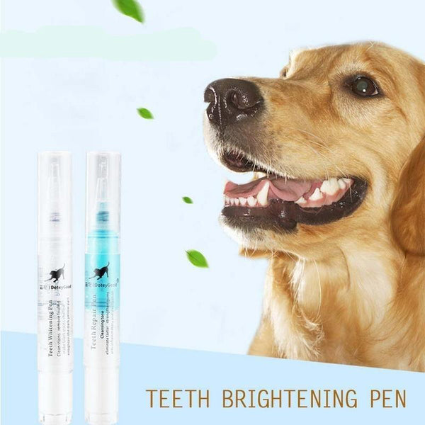 PET TEETH CLEANING REPAIR KIT