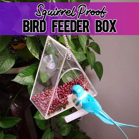 SQUIRREL PROOF BIRD FEEDER BOX
