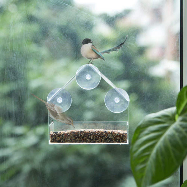 CLEAR GLASS VIEWING BIRD FEEDER