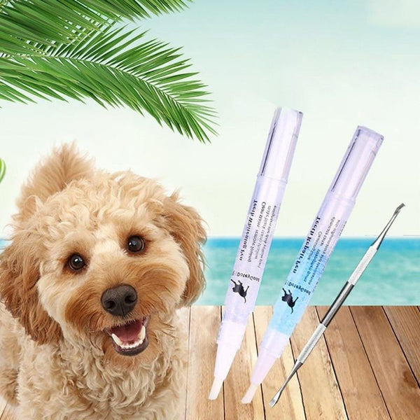 PET TEETH CLEANING REPAIR KIT