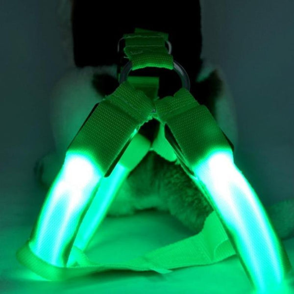 LED SAFETY DOG HARNESS
