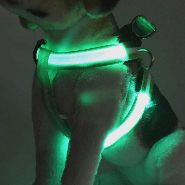 LED SAFETY DOG HARNESS