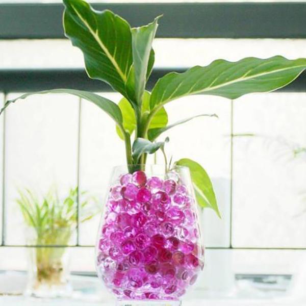 Hydrogel Crystal Soil