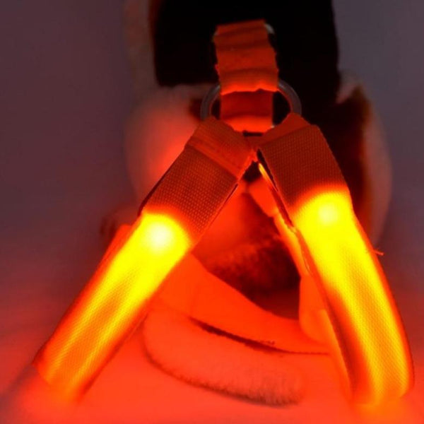 LED SAFETY DOG HARNESS