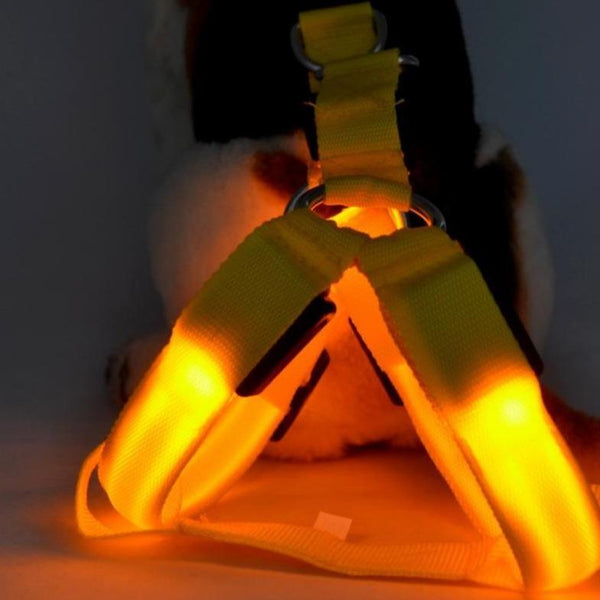 LED SAFETY DOG HARNESS