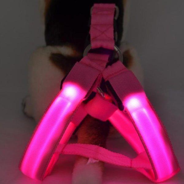 LED SAFETY DOG HARNESS