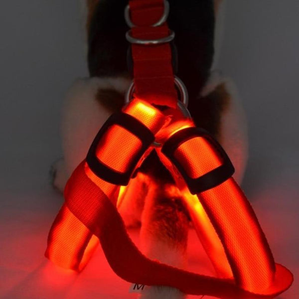 LED SAFETY DOG HARNESS