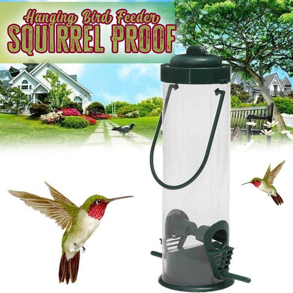 HANGING BIRD FEEDER SQUIRREL PROOF