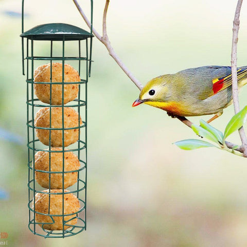 OUTDOOR BIRD FEEDER SQUIRREL PROOF