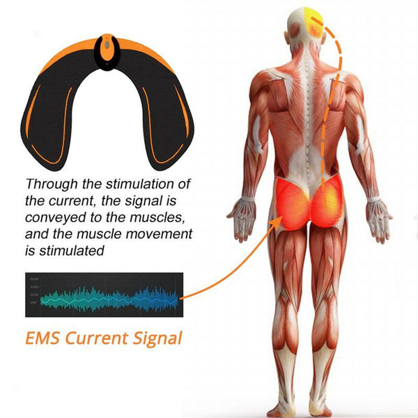 EMS BODY TRAINING HIP STIMULATOR