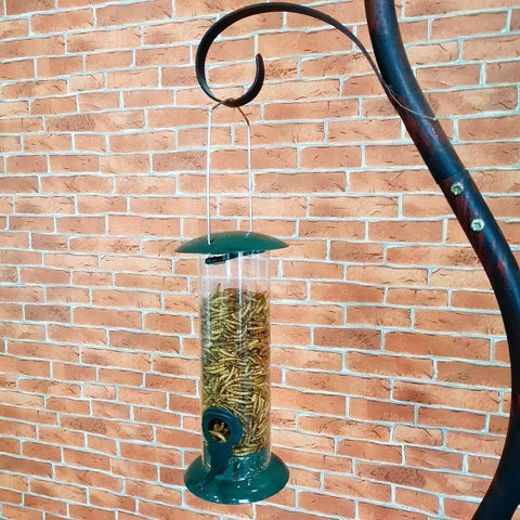 HANGING BIRD FEEDER SQUIRREL PROOF