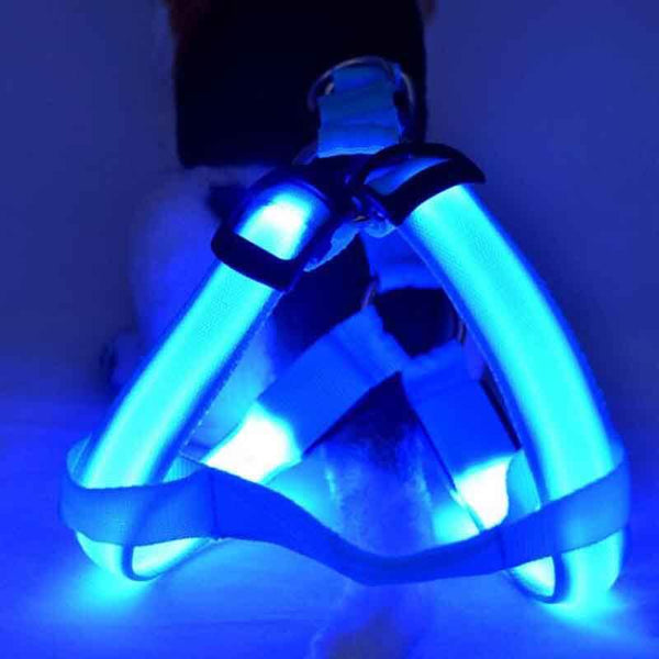 LED SAFETY DOG HARNESS