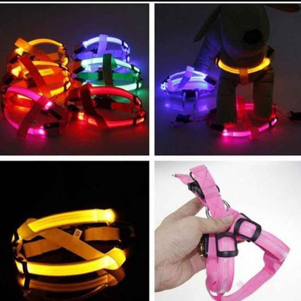 LED SAFETY DOG HARNESS