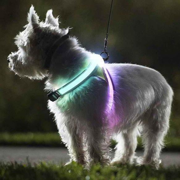LED SAFETY DOG HARNESS