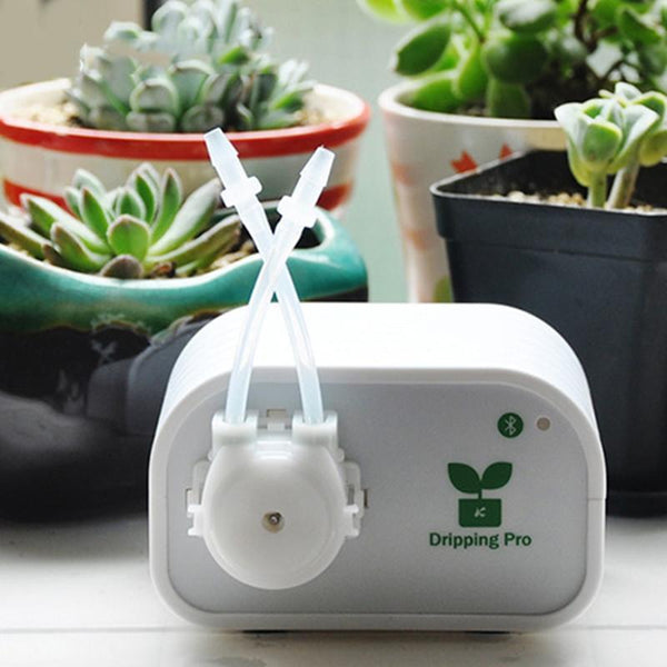 AUTOMATIC PLANT WATERING SYSTEM TOOL