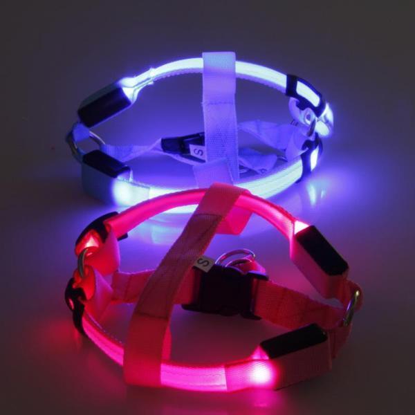 LED SAFETY DOG HARNESS