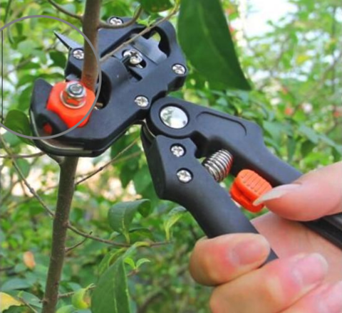 Garden Grafting Tool