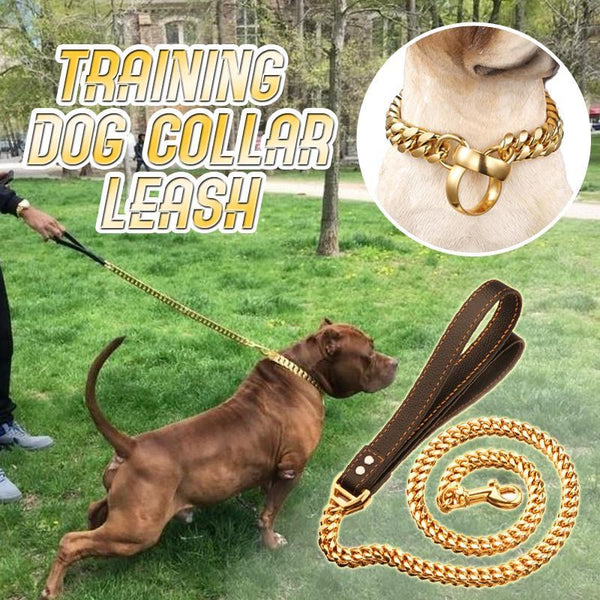 DOG CHAIN COLLAR LEASH