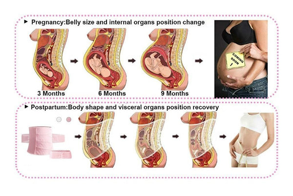 Postnatal Support Belly Band