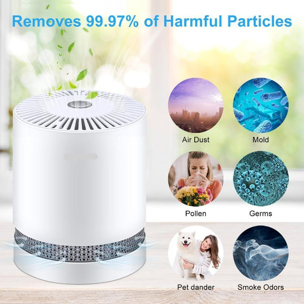 Home Air Purifier