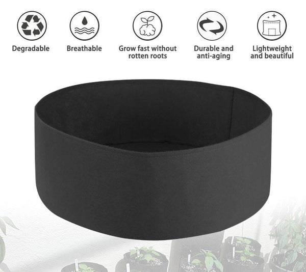 My Perfect Garden Bed