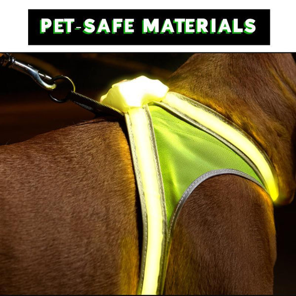 LED SAFETY DOG HARNESS