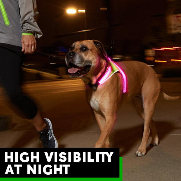 LED SAFETY DOG HARNESS