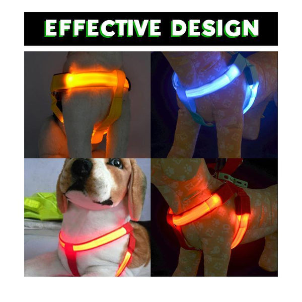 LED SAFETY DOG HARNESS