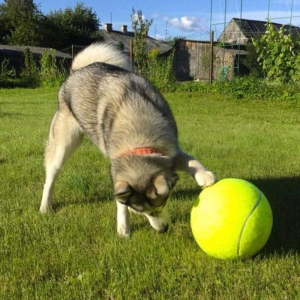 GIANT TENNIS BALL PET TOY
