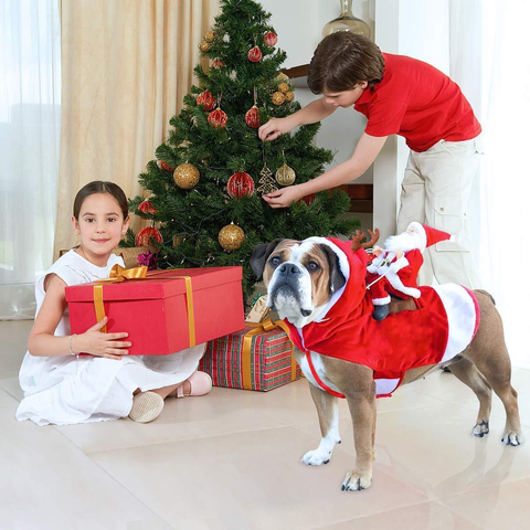SantasHelper - Xmas Dog Costume
