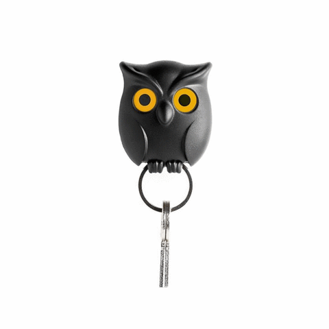 Owl key hook
