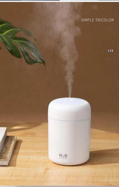 Portable H2O Ultrasonic Air Humidifier with Romantic Light
