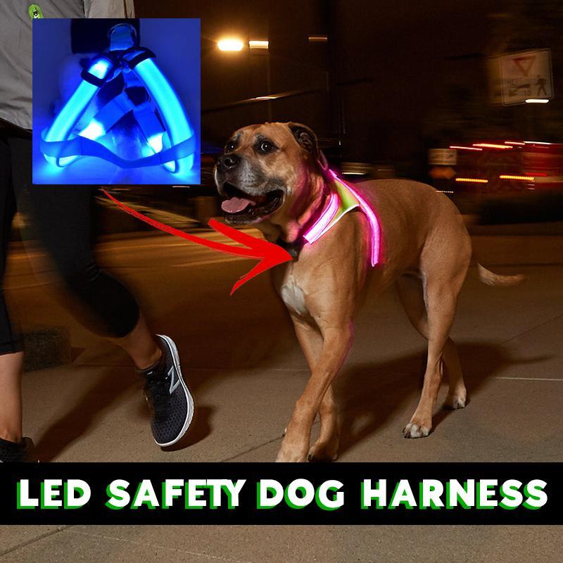 LED SAFETY DOG HARNESS