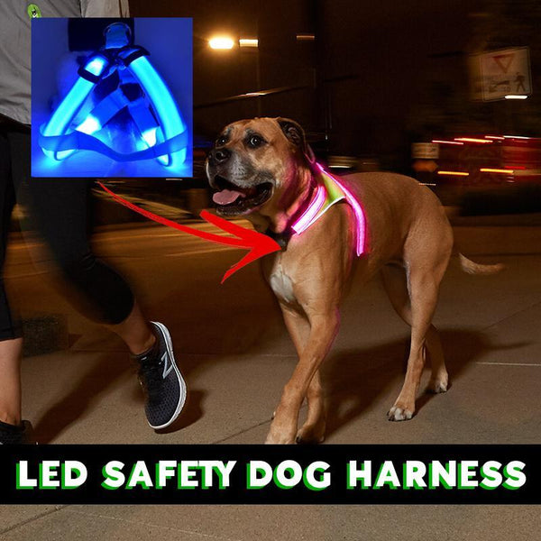LED SAFETY DOG HARNESS