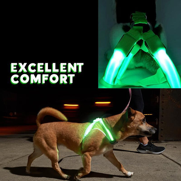 LED SAFETY DOG HARNESS